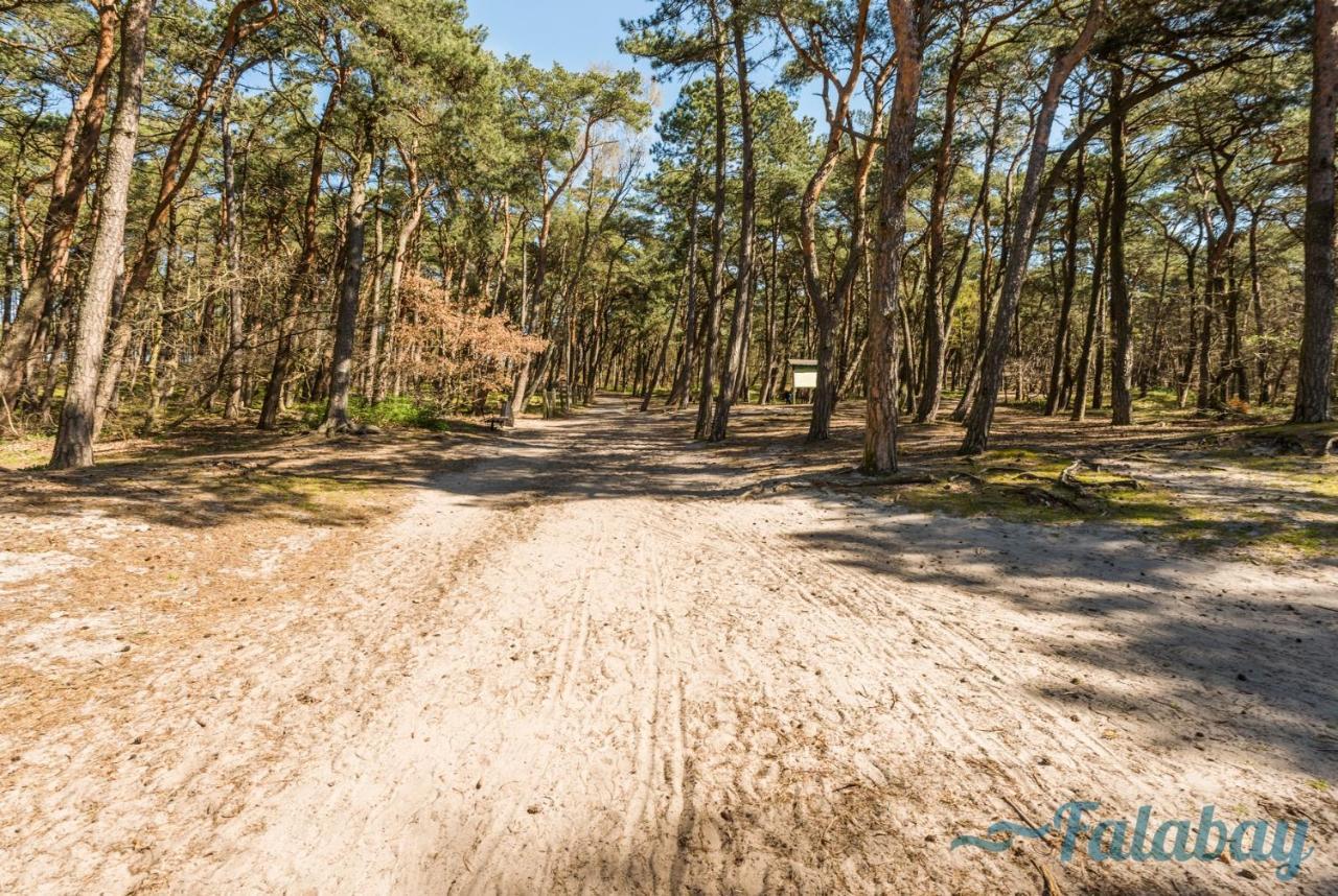 Domki Falabay Villa Karwieńskie Błoto Buitenkant foto